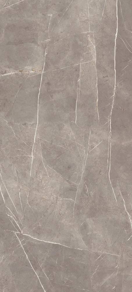 Marvel Silver Dream 50x110 (4MPV) Керамическая плитка Atlas Concorde – Керамогранит и плитка 
