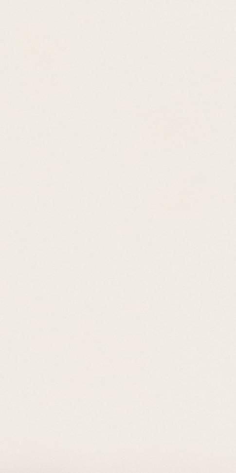 Absolute White Matte 159x324 cm - 20mm (AIRU) Керамогранит Atlas Concorde – плитка керамическая и керамогранит Absolute White Matte 159x324 cm - 20mm (AIRU) Керамогранит Atlas Concorde – Керамогранит и плитка