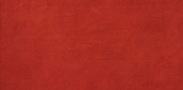EWALL RED 4080 (8E4Q) 40x80 Керамическая плитка