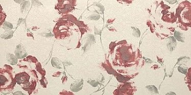 Ewall White Roses